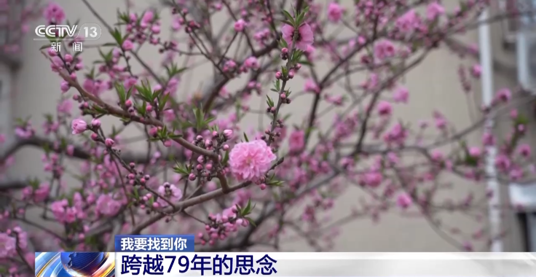 640 (17).png 640 (17).png